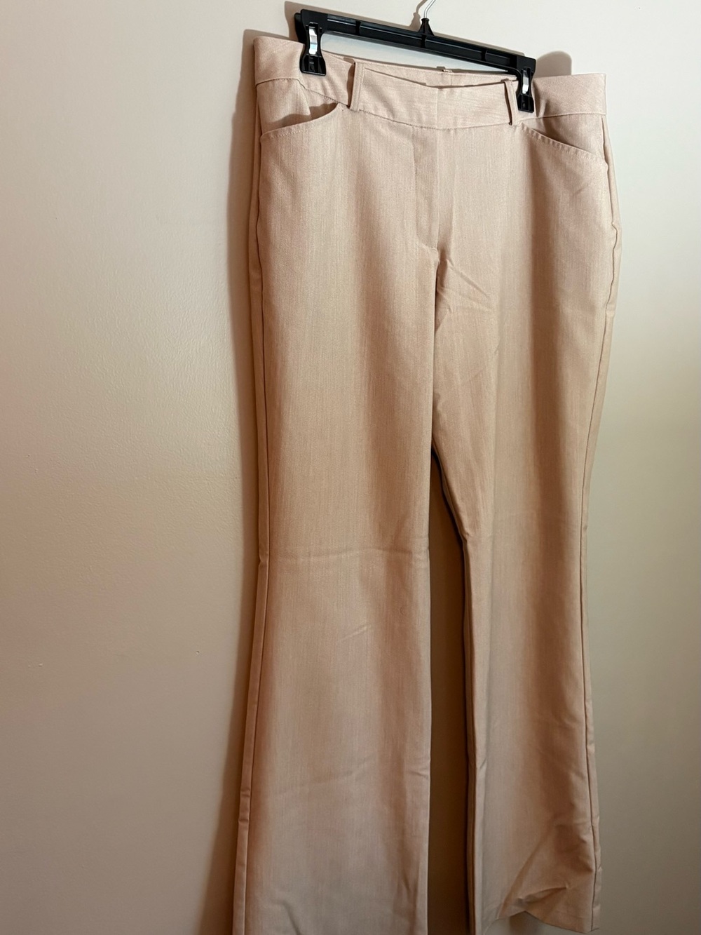 Worthington Beige Flare Bootcut Dress Pants Size 12 Career Work Trousers